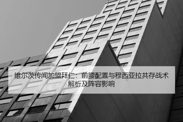 wei-er-ci-chuan-wen-jia-meng-bai-ren-qian-yao-pei-zhi-yu-mu-xi-ya-la-gong-cun-zhan-shu-jie-xi-ji-zhen-rong-ying-xiang-2-919.jpg
